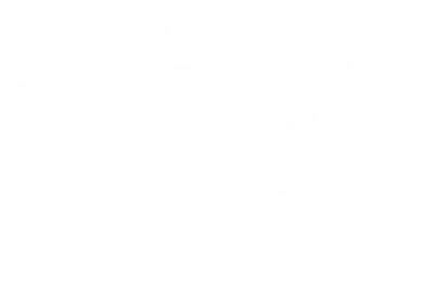 Logo Biznes Pharma